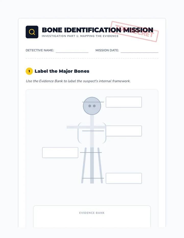 Bone Identification Mission Worksheet