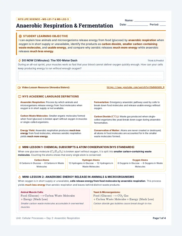 Anaerobic Respiration Student Packet