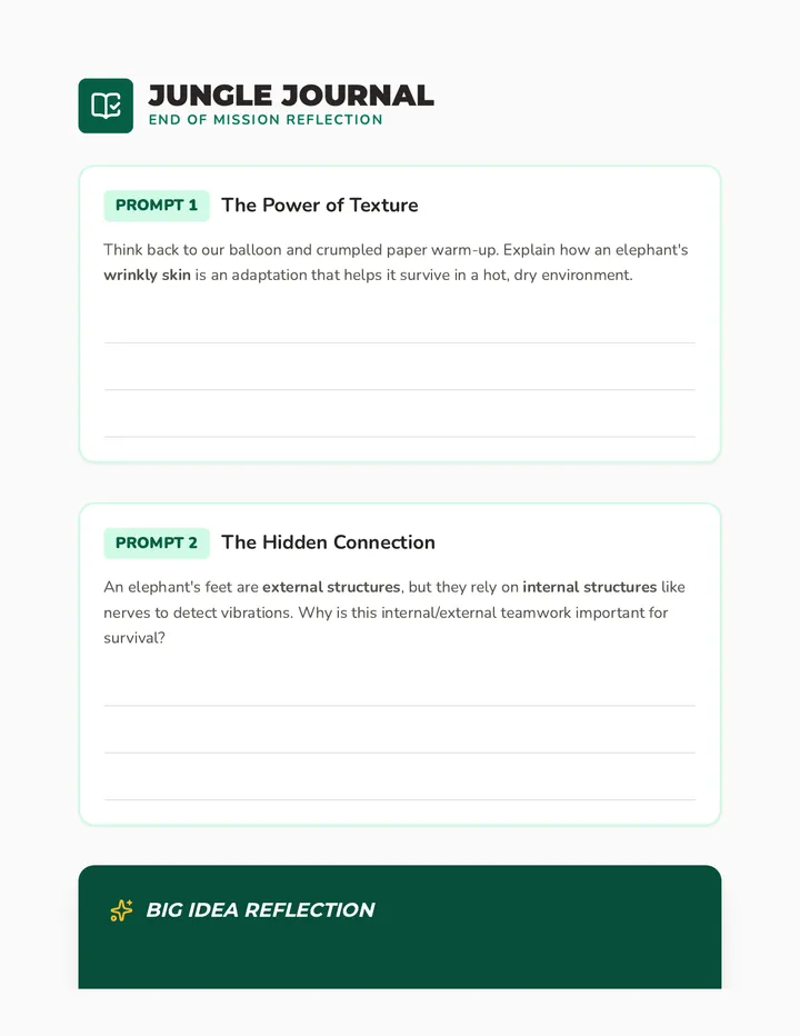 Jungle Journals Reflection Prompts