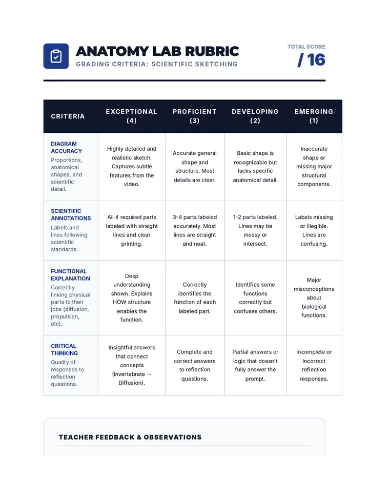 Anatomy Lab Rubric