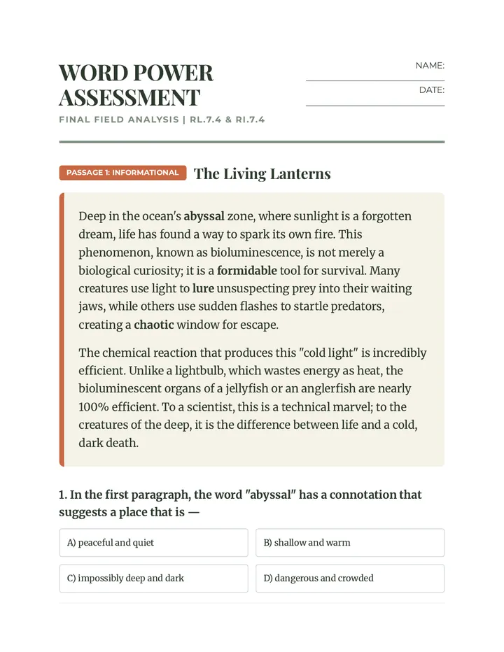 Word Power Assessment