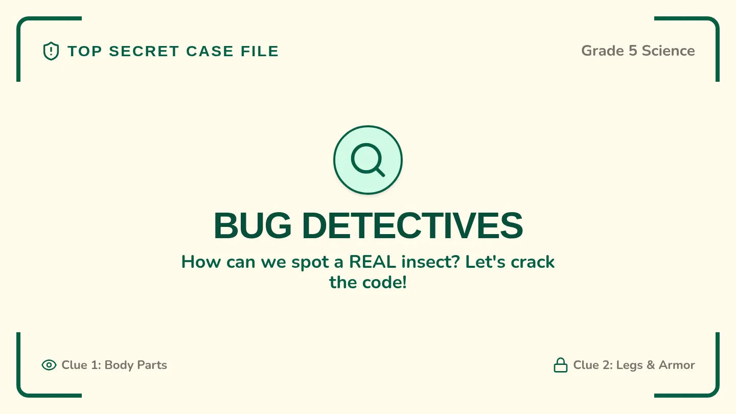 Bug Detectives Slides