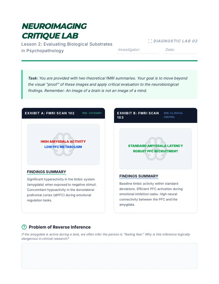 Neuroimaging Critique Lab