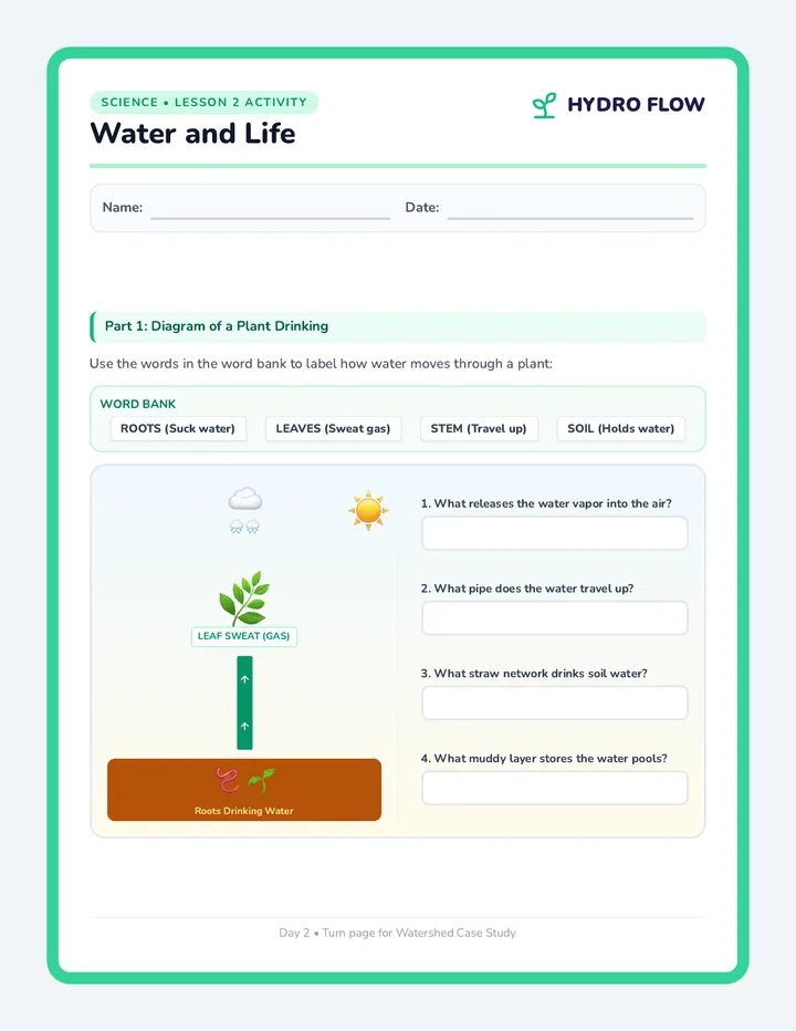 Water Life Activity