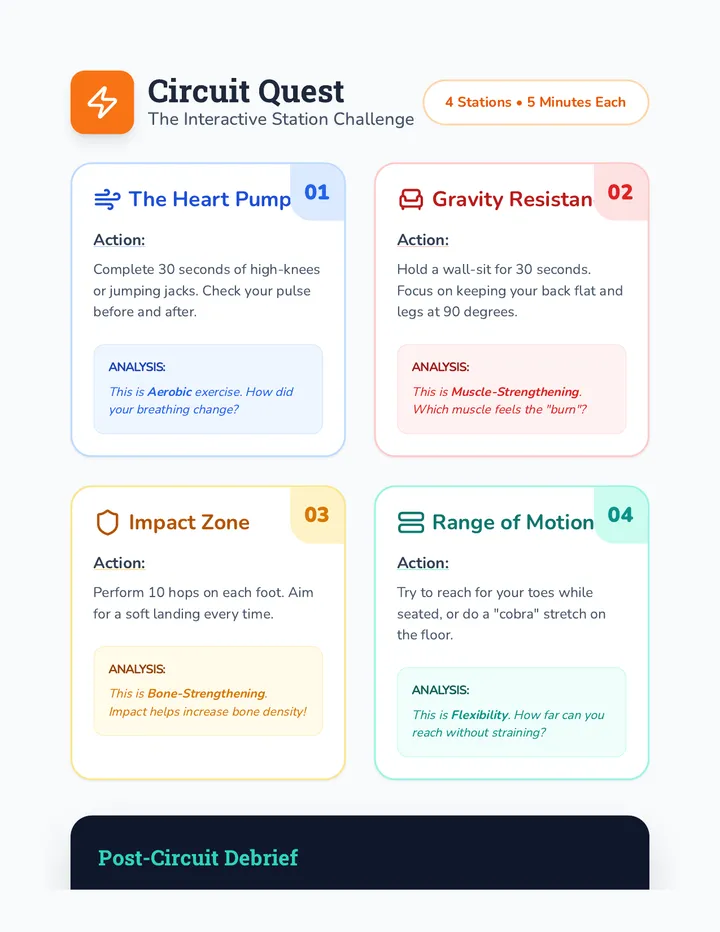 Fitness Circuit Interactive