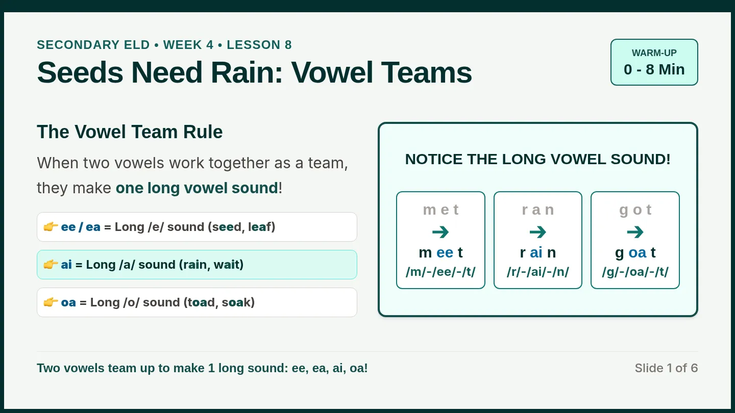 Seeds Rain Slides