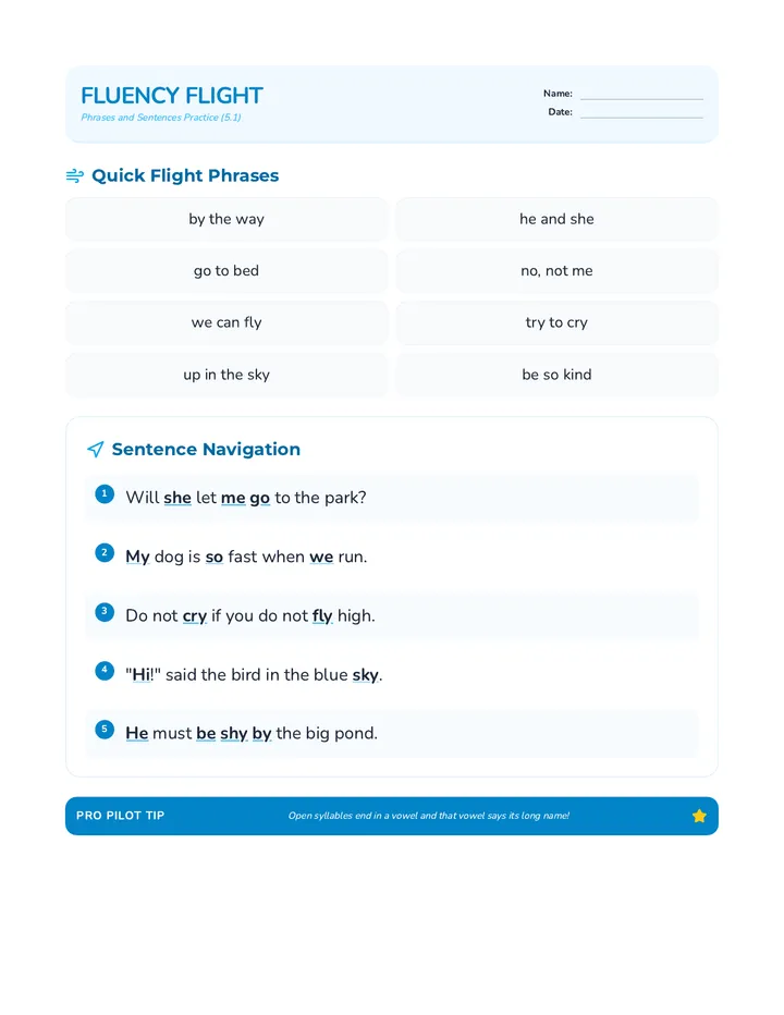 Fluency Flight Sentences