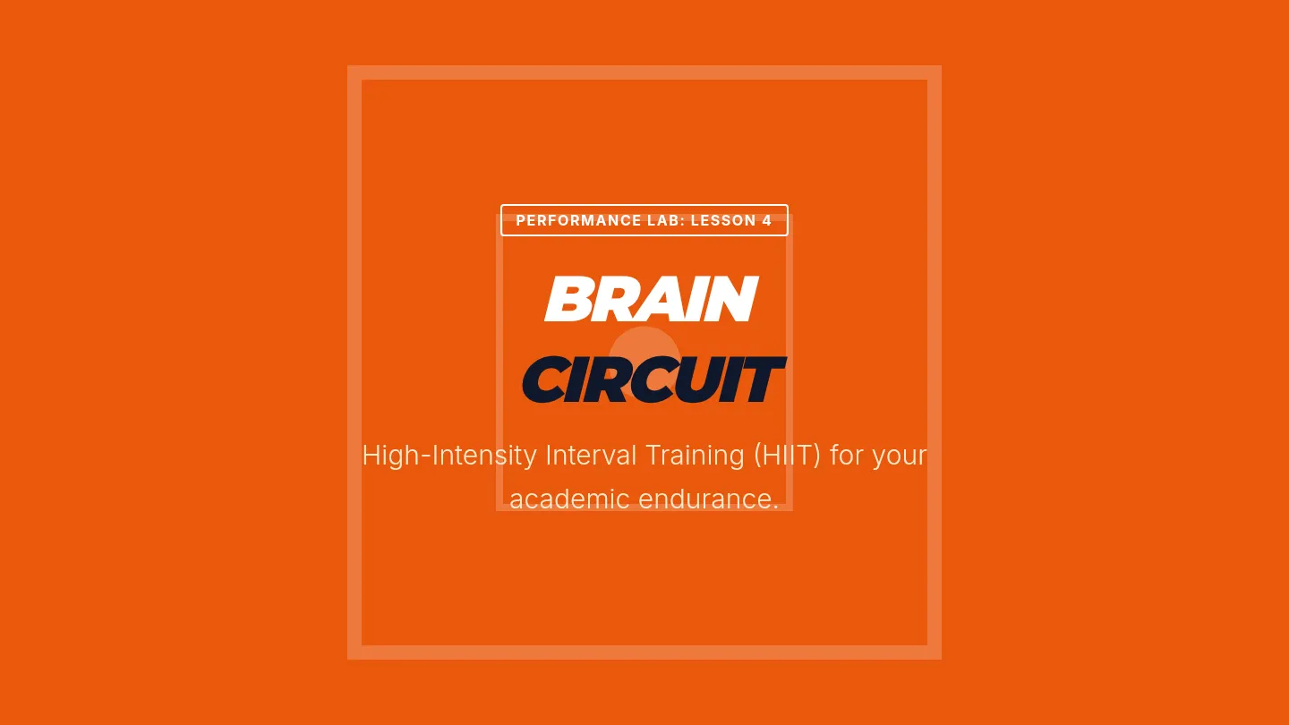Neural Circuit Training Slides