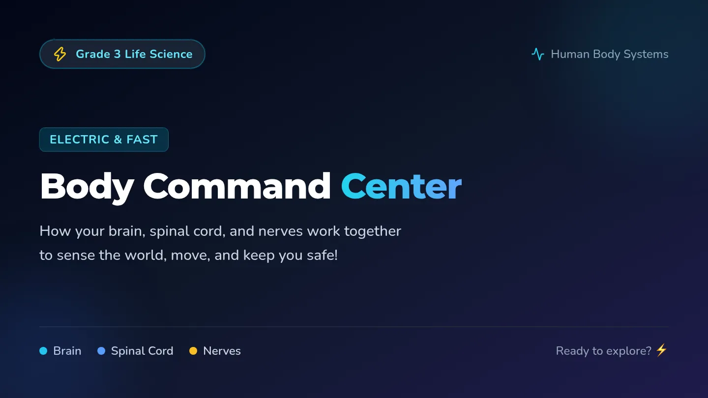 Body Command Slides