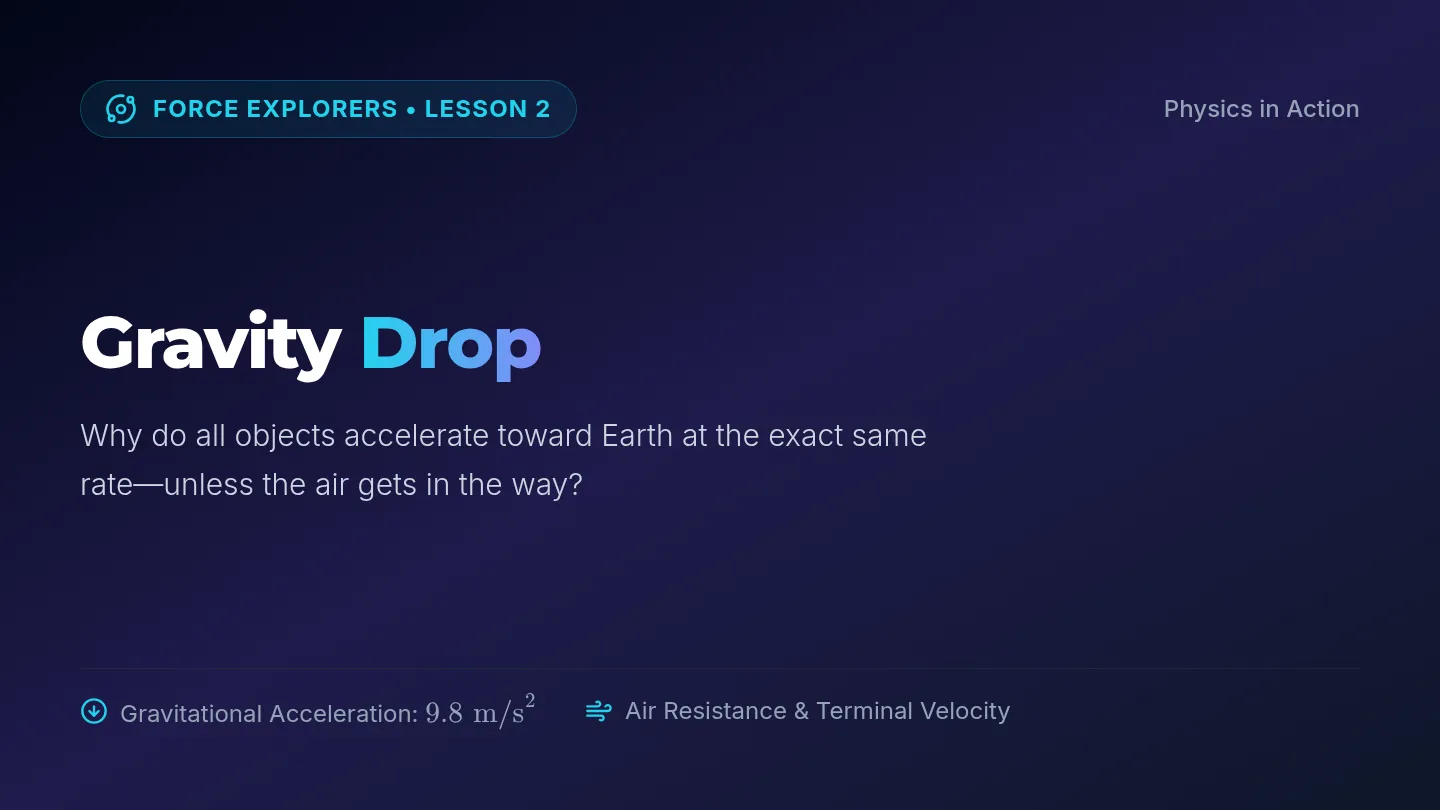 Gravity Drop Slides