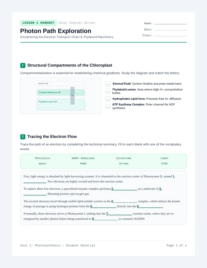 Photon Path Worksheet