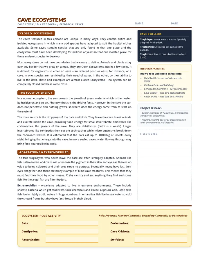 Cave Explorer Handout Verbatim Final