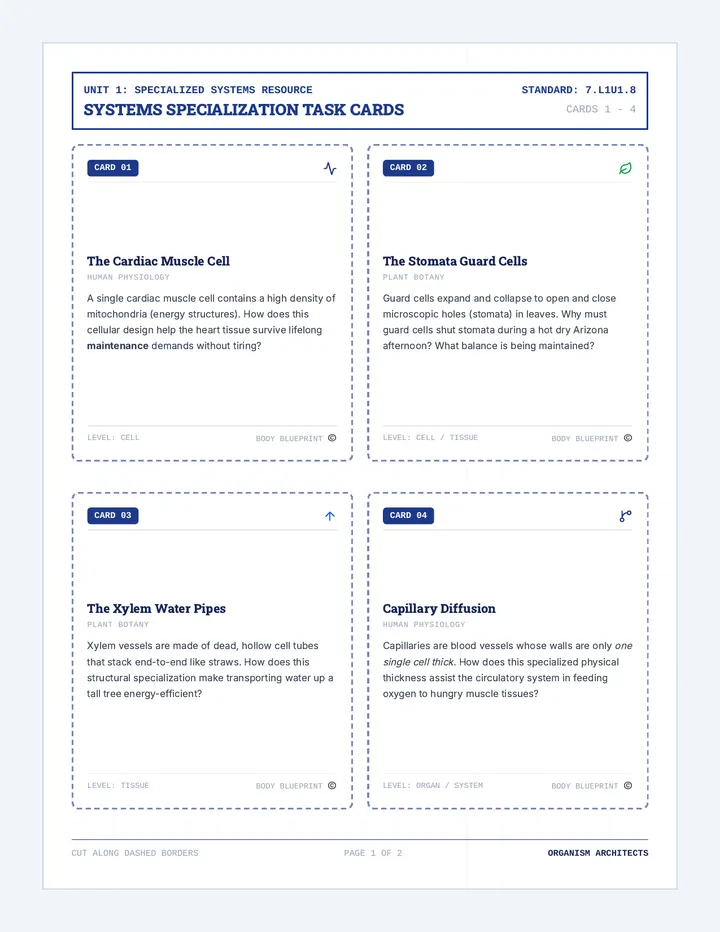Specialized Task Cards