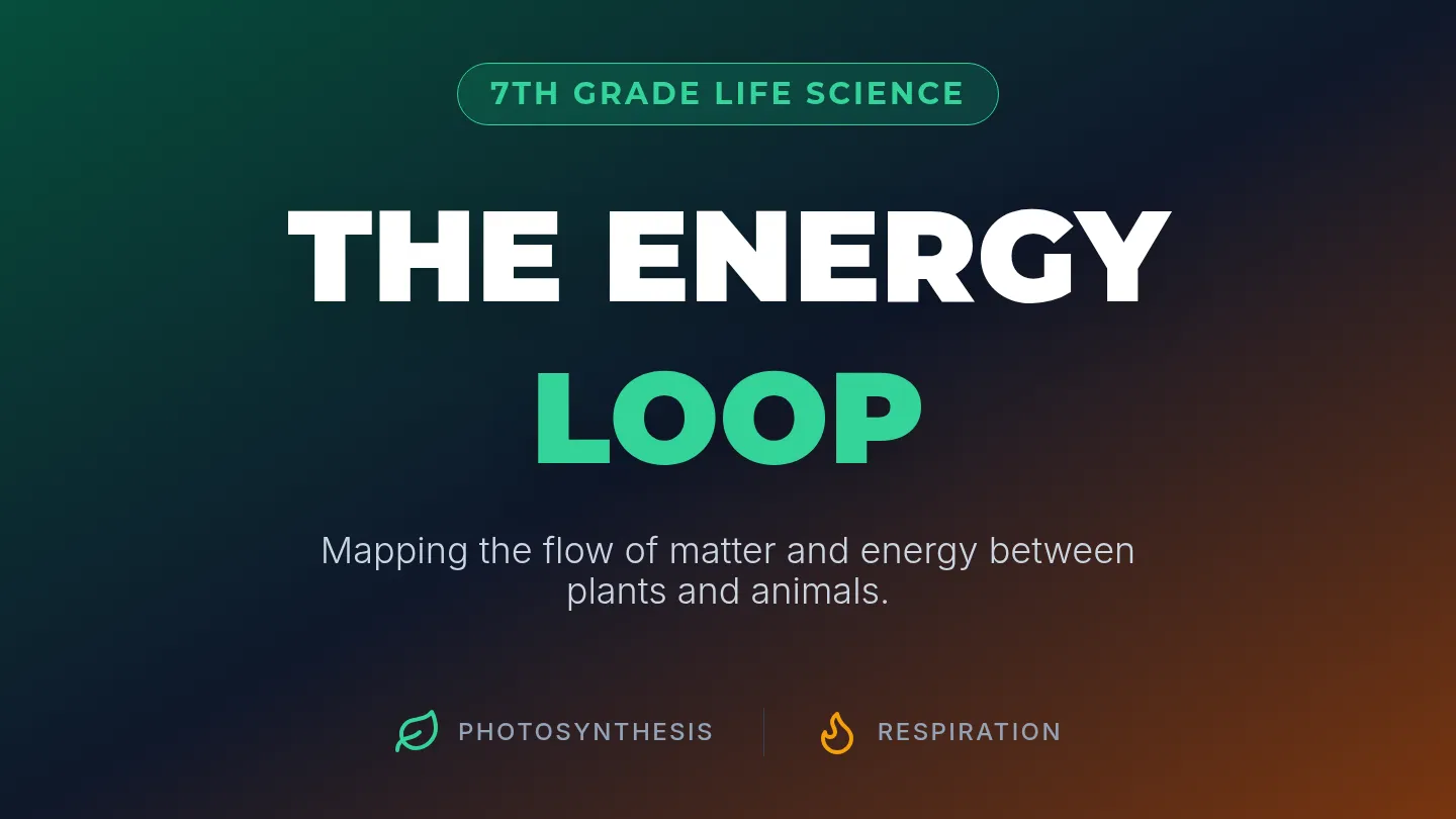 The Energy Loop • Lesson • Lenny.com