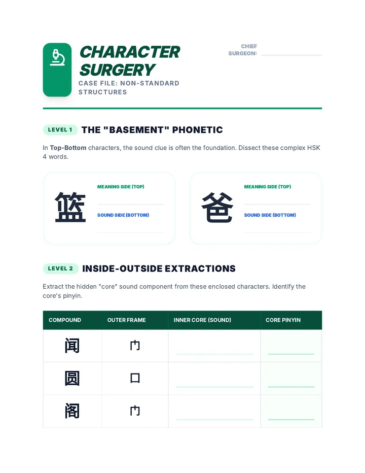 Character Surgery Worksheet