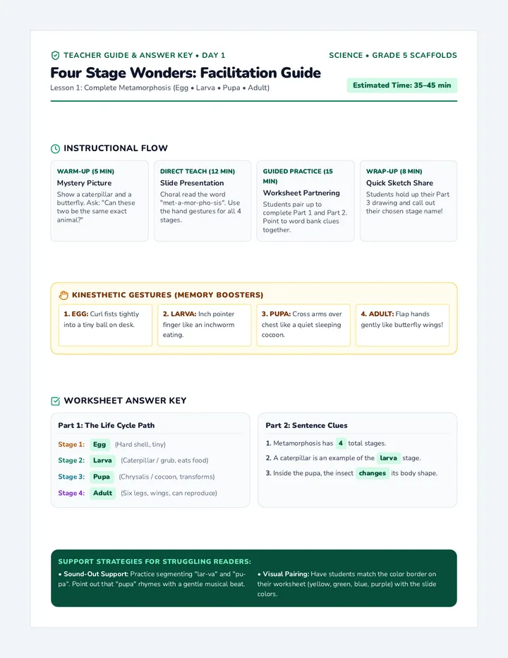 Four Stages Teacher Guide