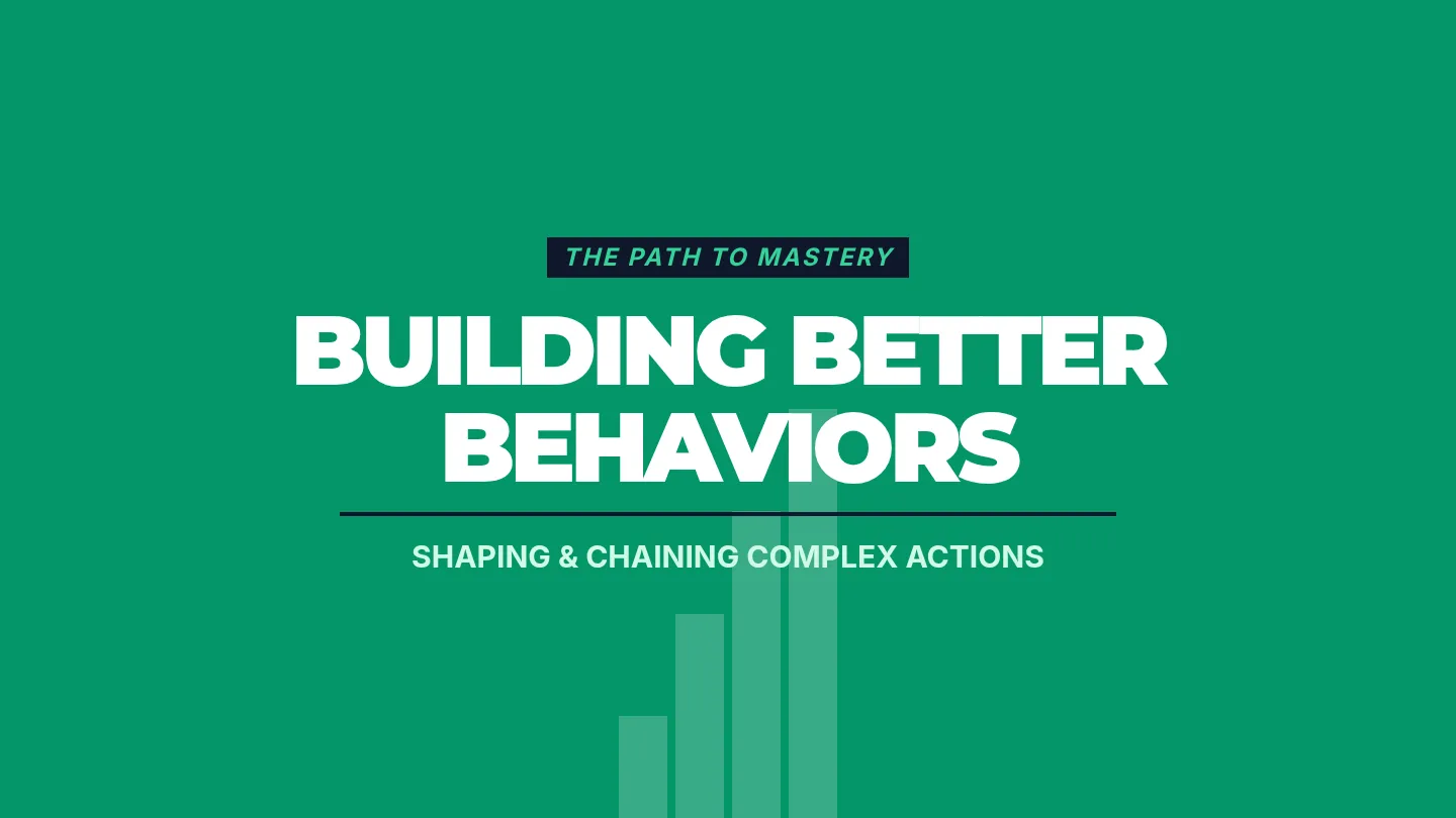 Building Better Behaviors Slides