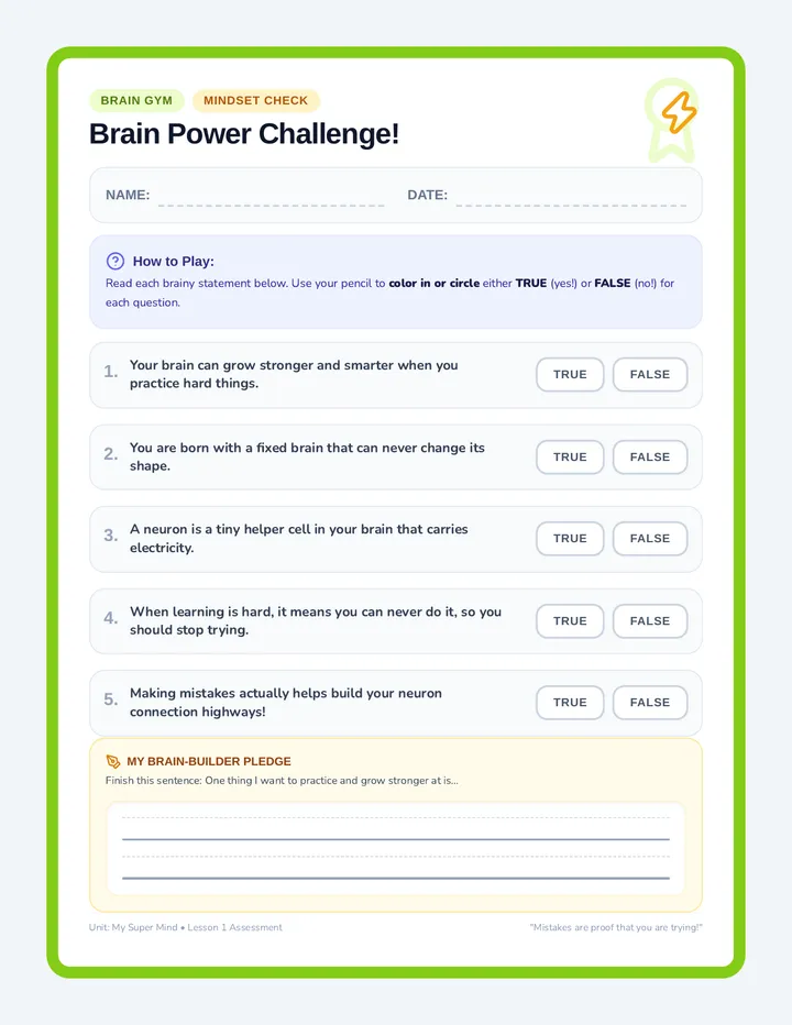 Brain True/False Worksheet