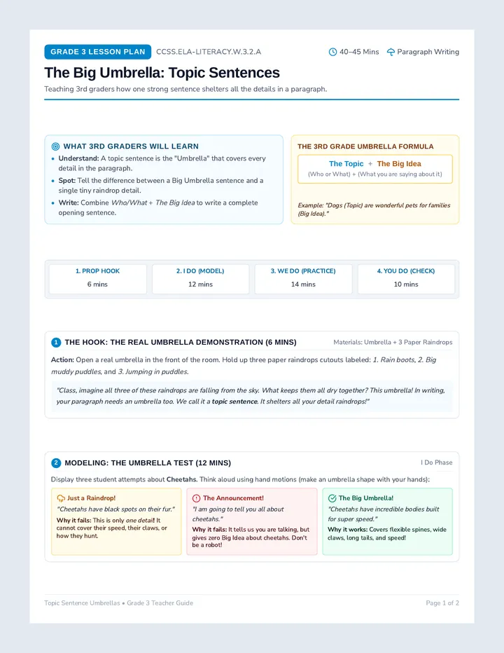 Topic Sentence Lesson Plan