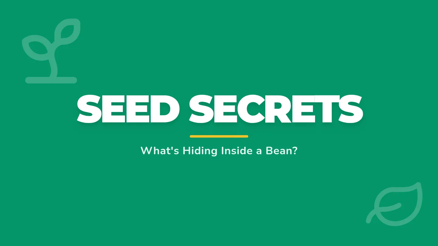 Seed Secrets Slides