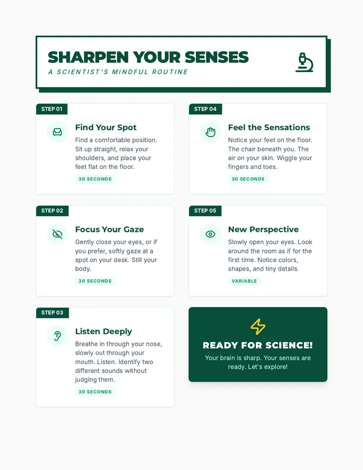 Science Senses Warm Up Guide