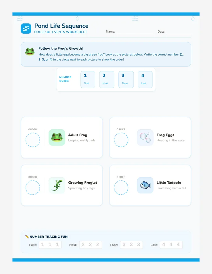 Pond Life Worksheet