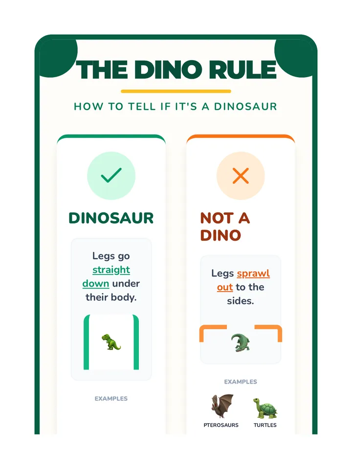 Dino Detectives Anchor Chart
