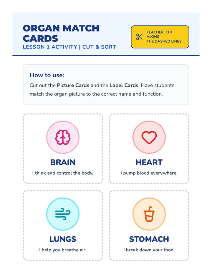 Organ Match Cards