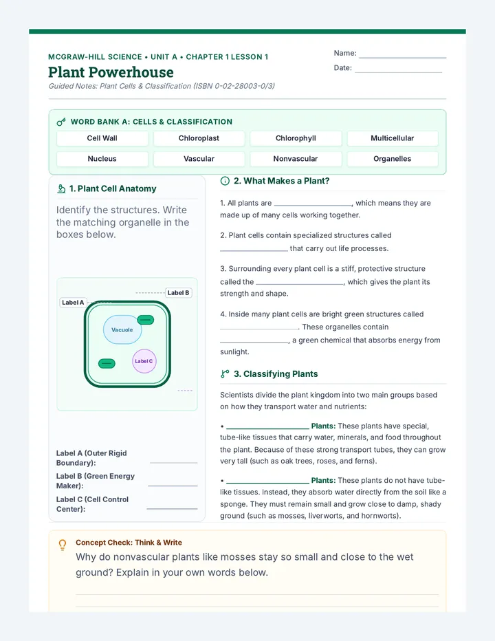 Plant Powerhouse Guided Notes