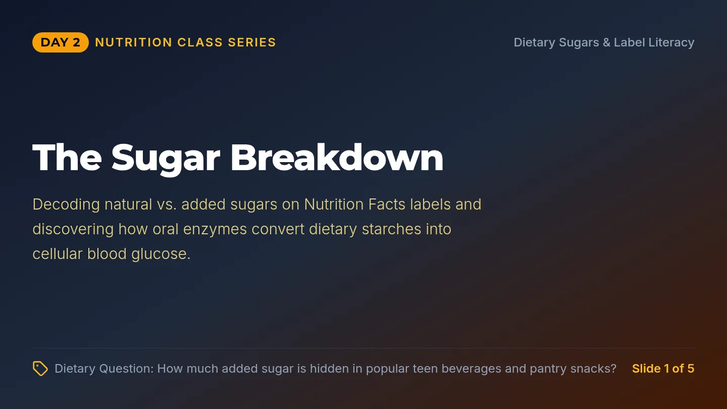 Sugar Breakdown Slides