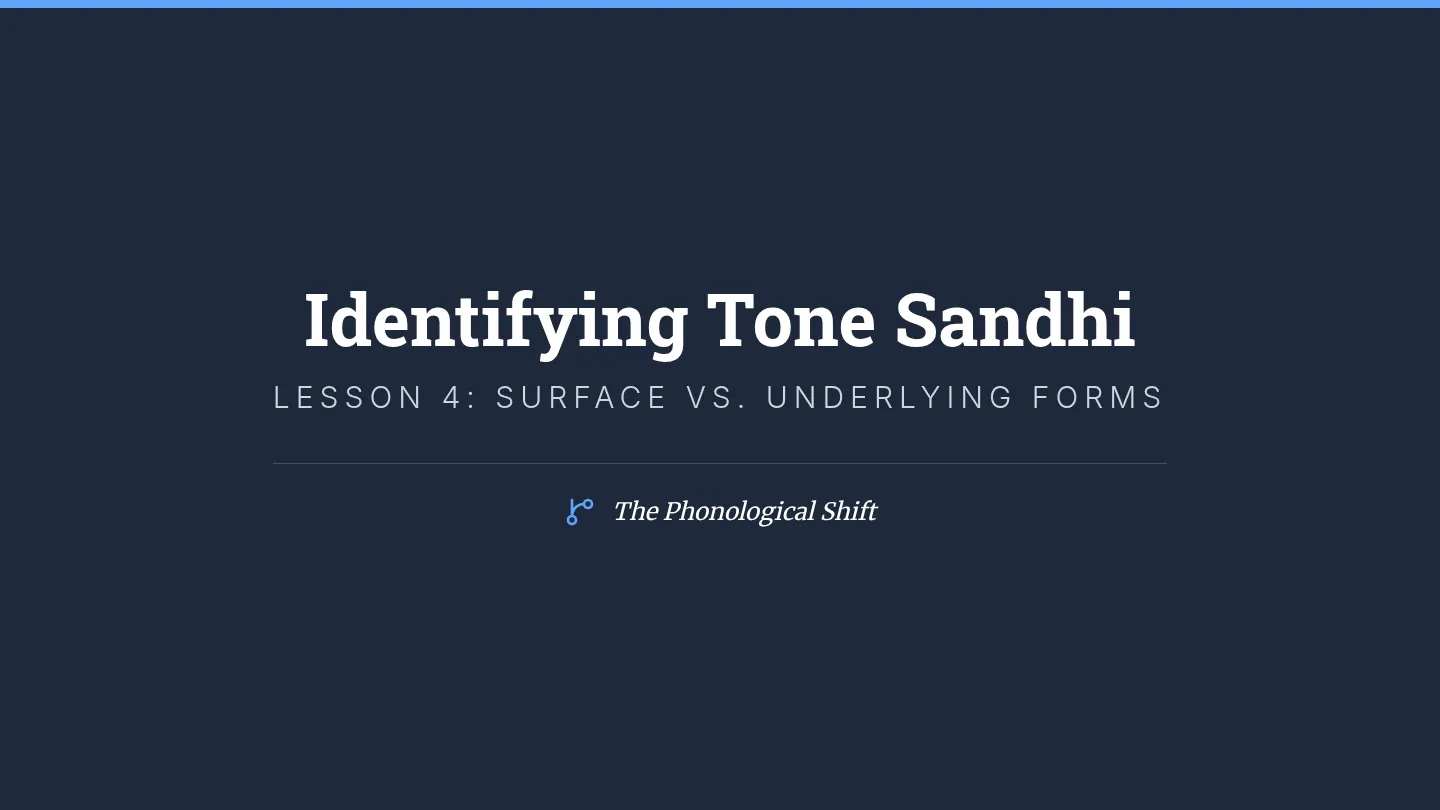 Tone Sandhi Slides