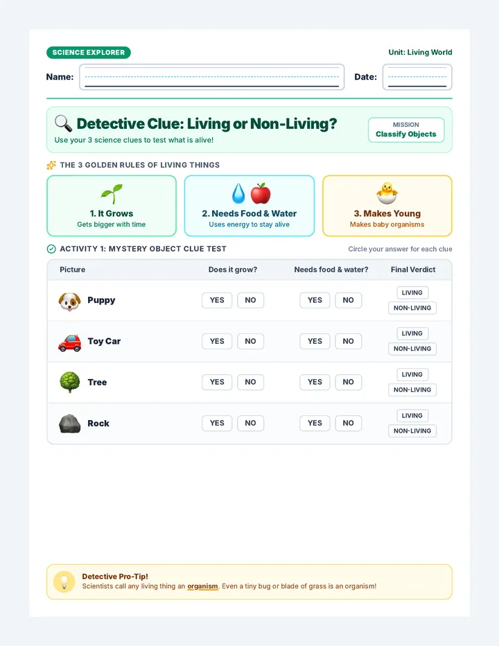 Living Secrets Activity Sheet