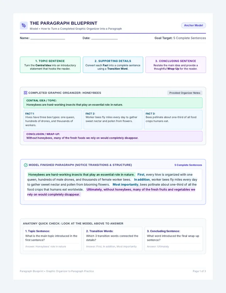 Organizer to Paragraph Worksheet