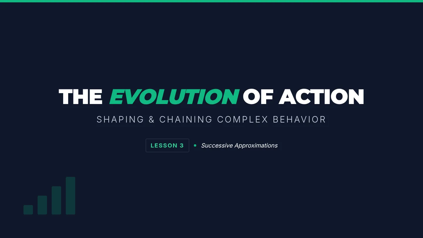 Evolution of Action Slides