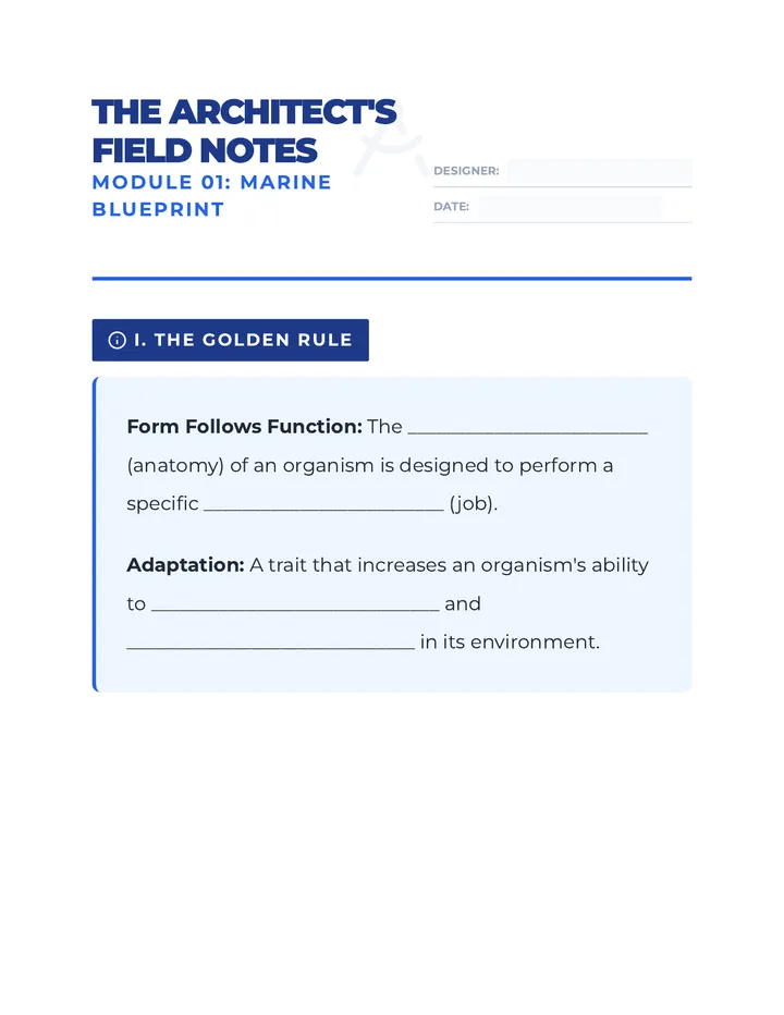 Marine Blueprint Notes Worksheet