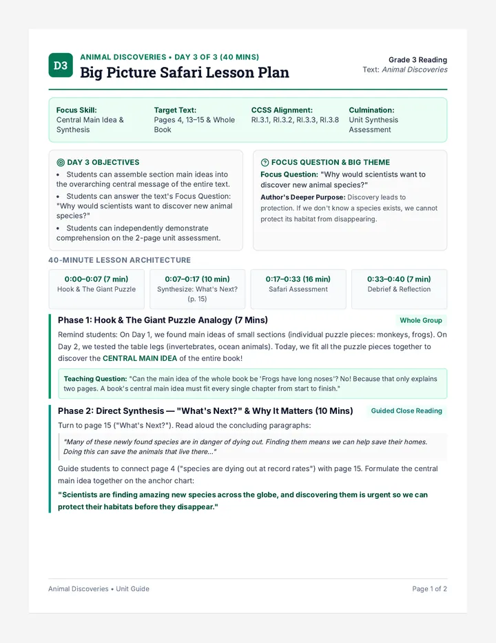 Big Picture Safari Lesson Plan
