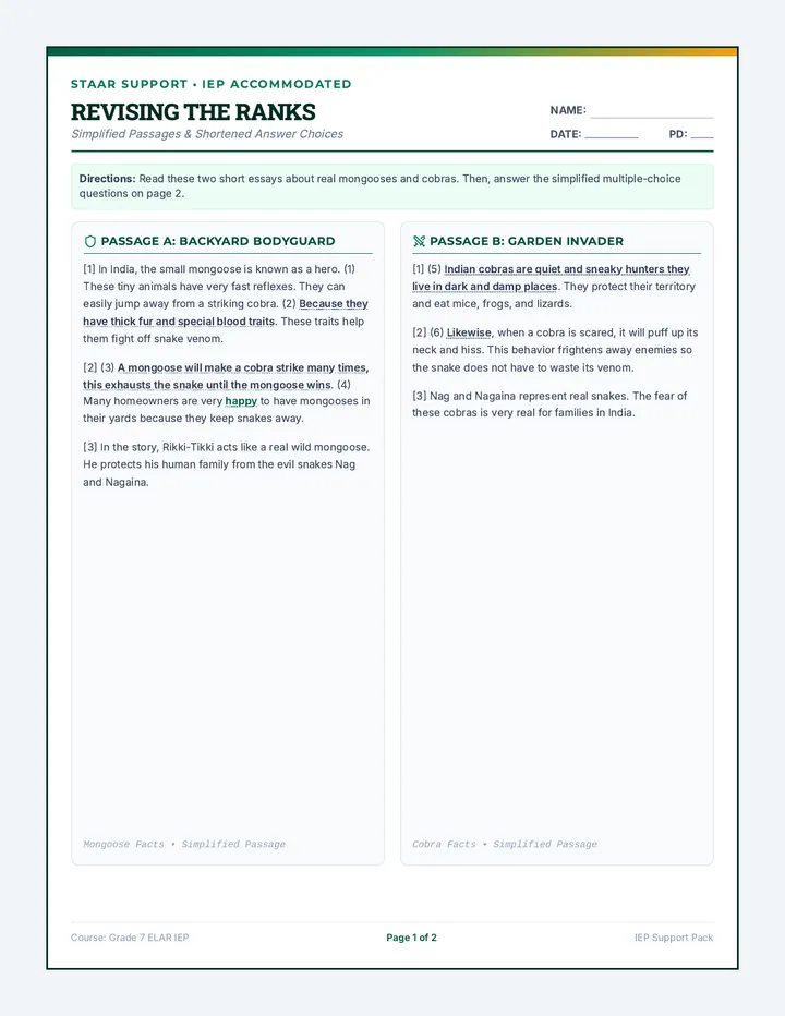 Revising Ranks IEP Worksheet