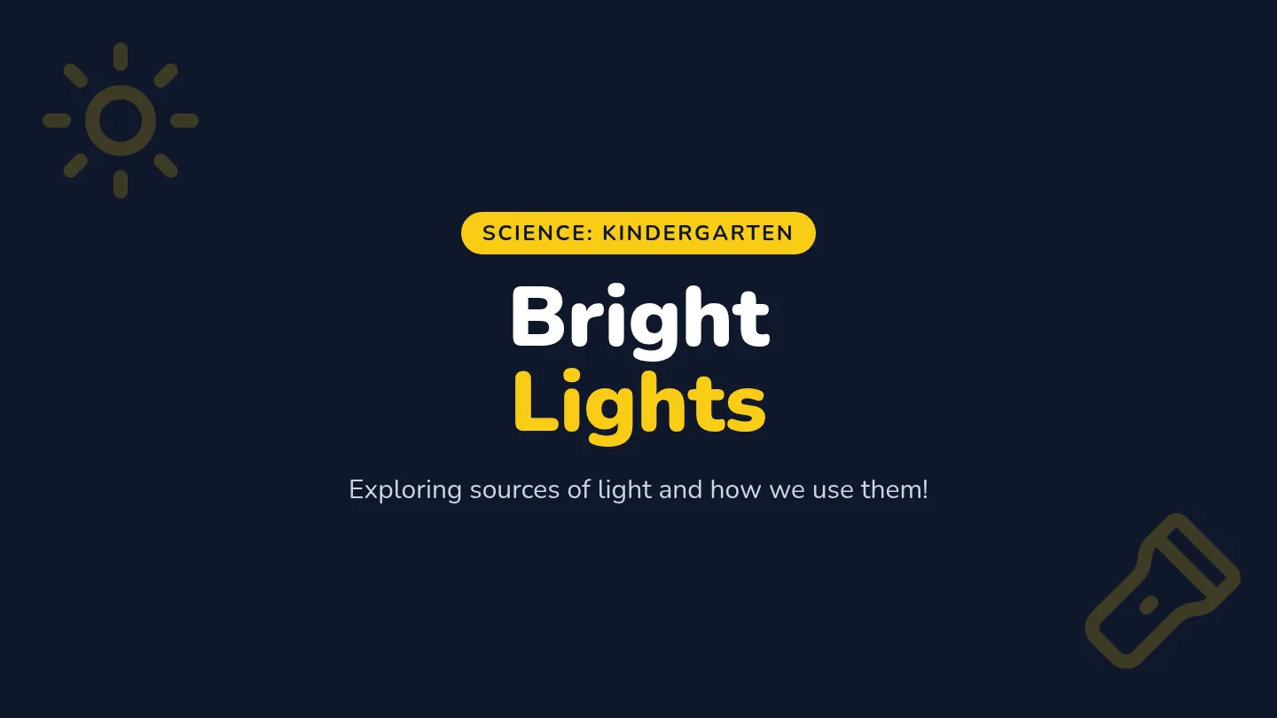 Bright Lights Slides
