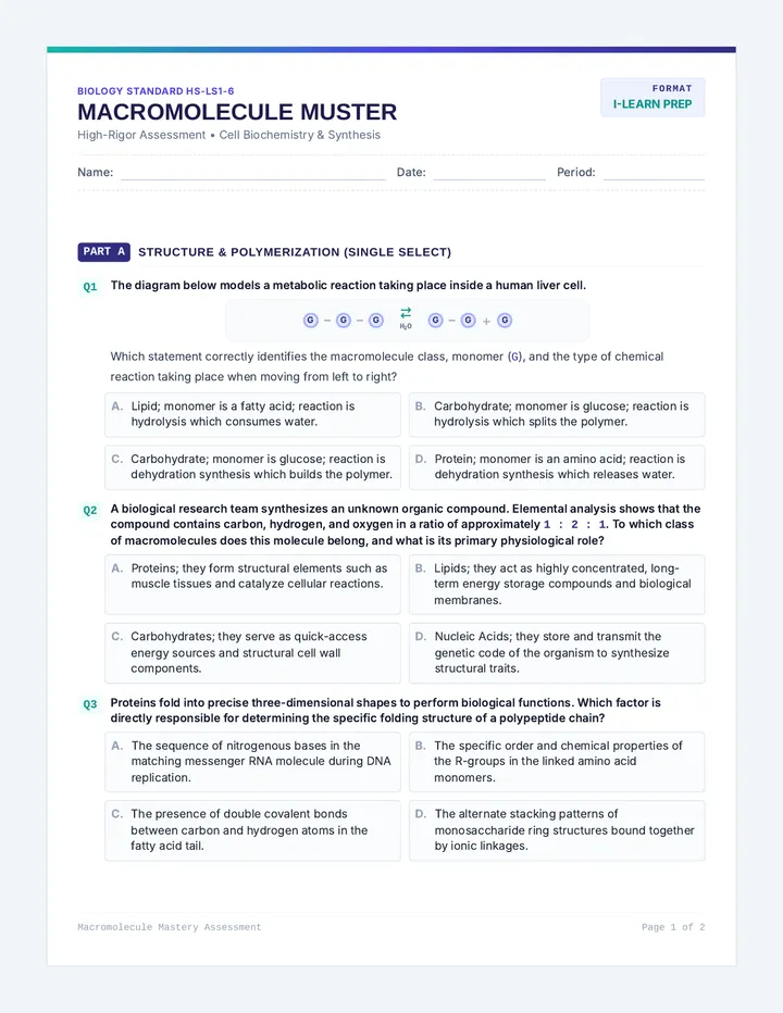 Macromolecule Muster Quiz