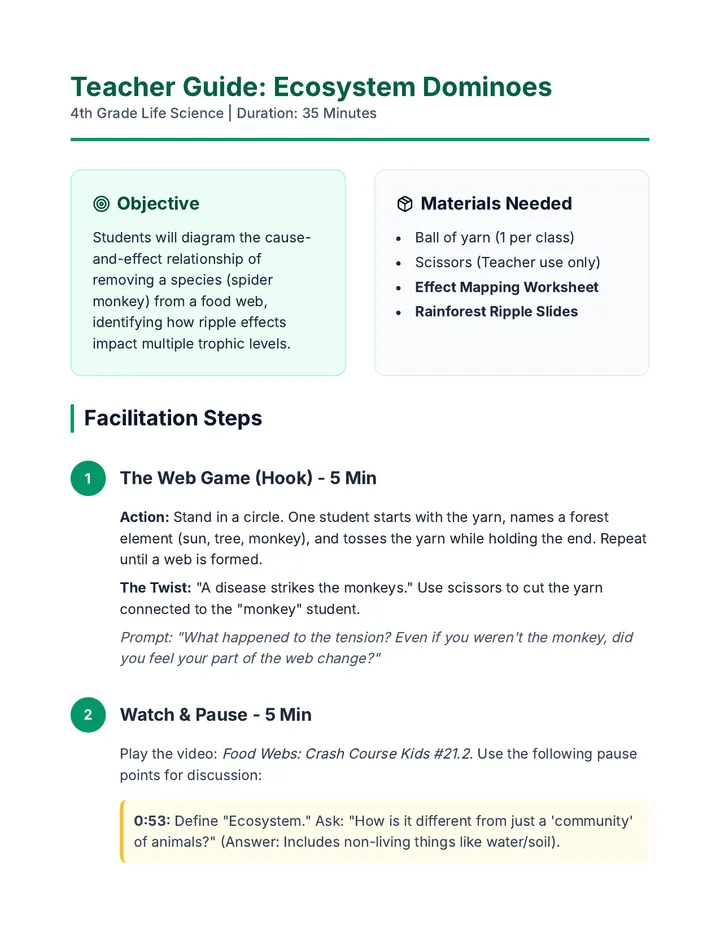 Rainforest Ripple Teacher Guide