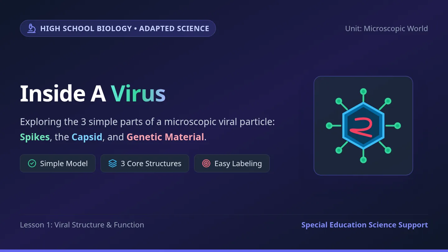 Virus Anatomy Slides