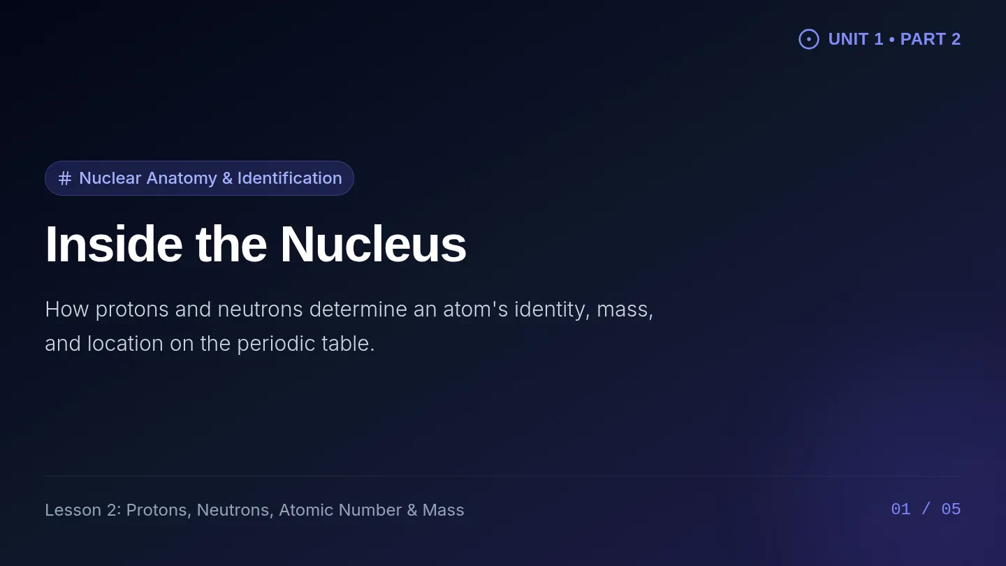 Inside The Nucleus Slides