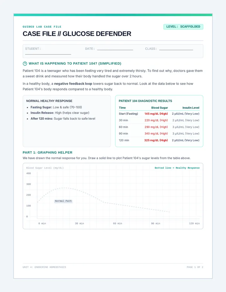 Sugar Crash Scaffolded Worksheet