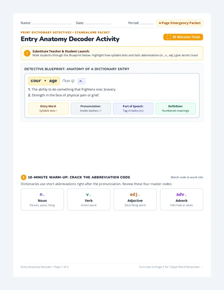 Entry Anatomy Decoder Activity