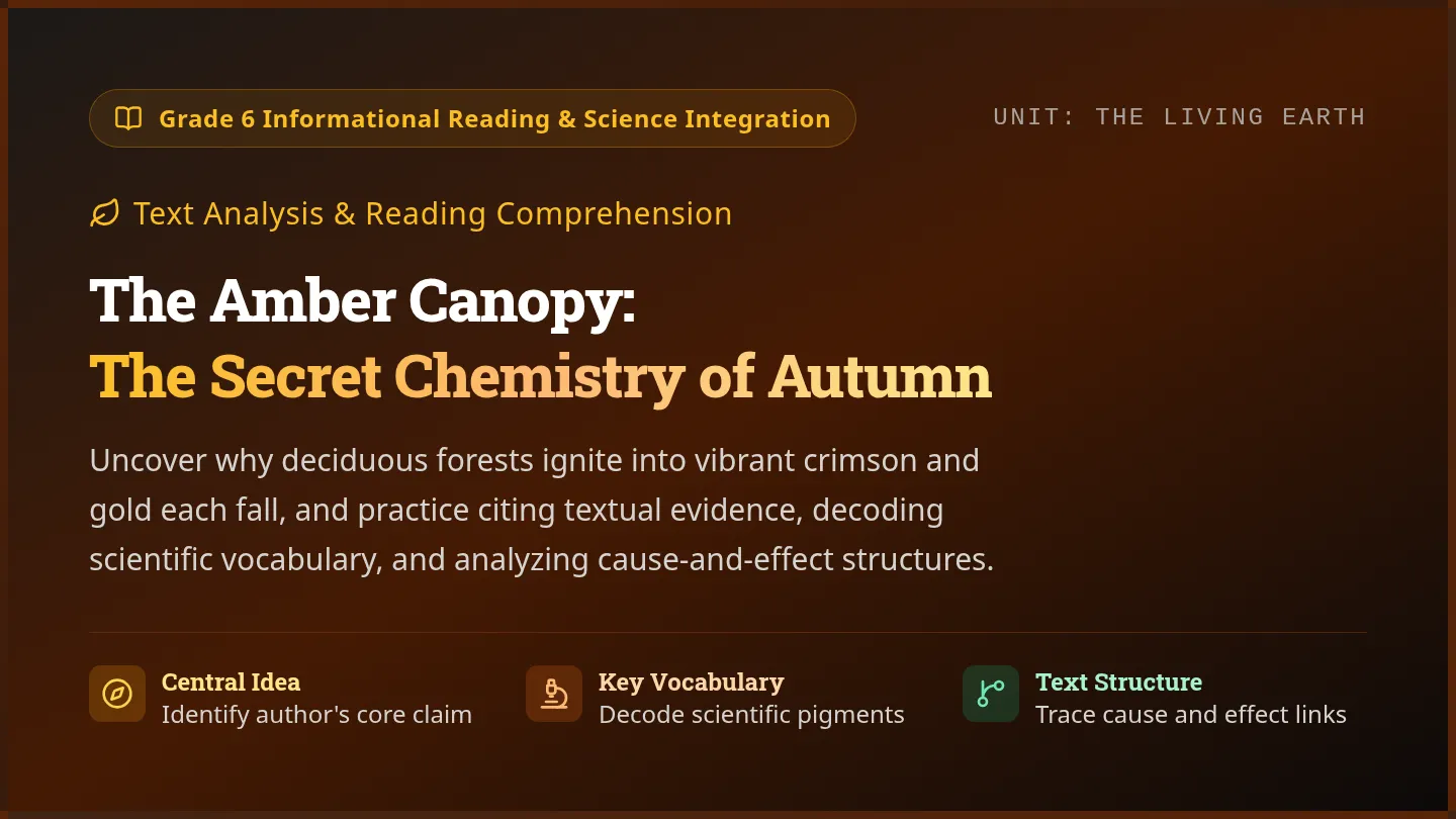 Amber Canopy Slides
