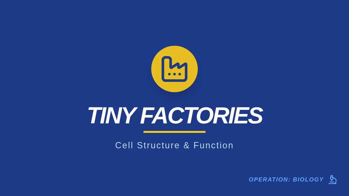 Cell Factory Slides