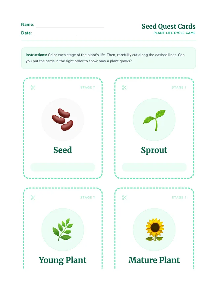 Seed Quest Game Cards Worksheet