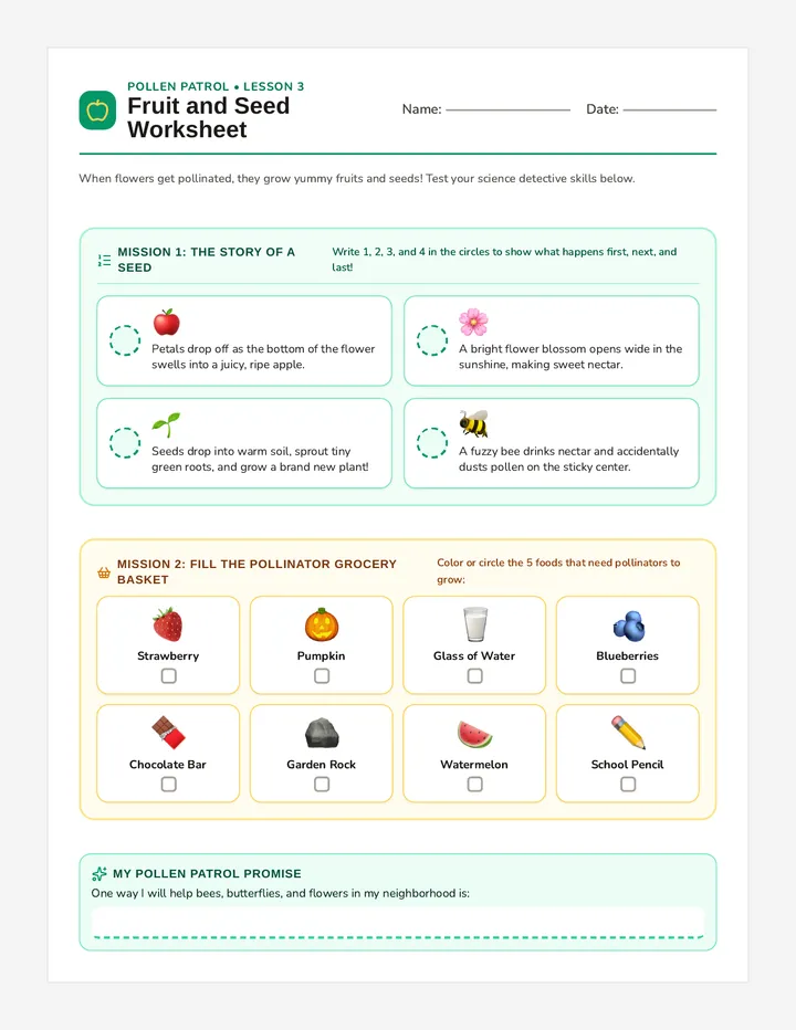 Fruit and Seed Worksheet