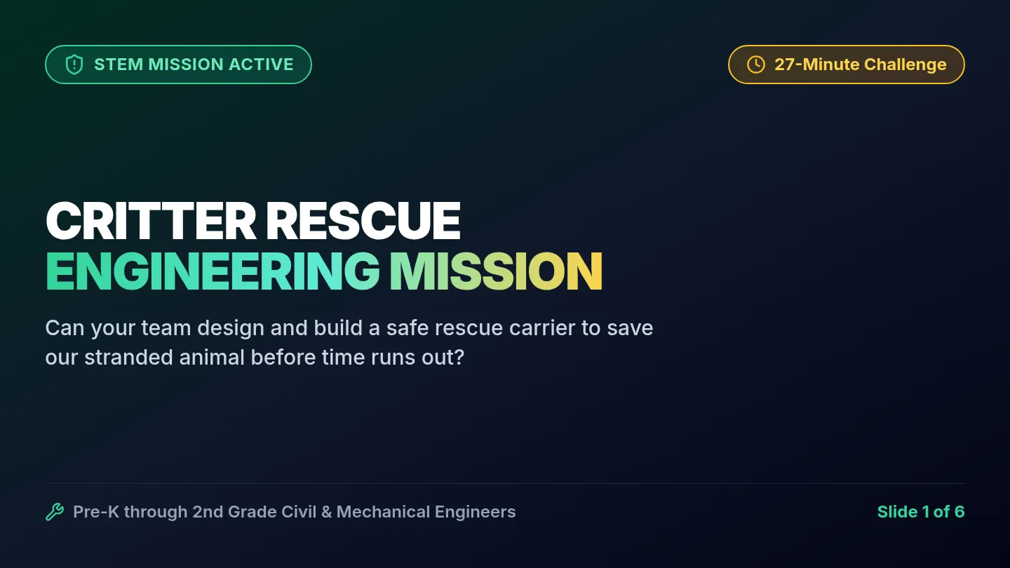 Critter Rescue Slides
