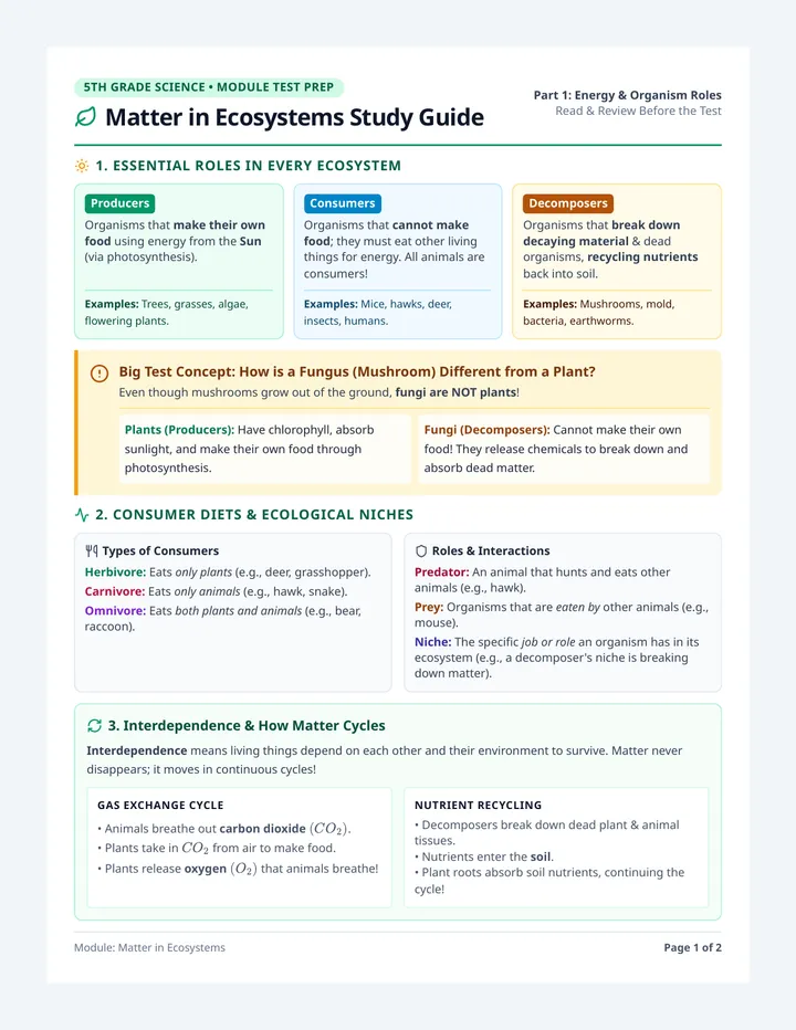 Ecosystem Matter Study Guide